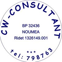 CW-CONSULTANT